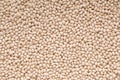Texture background is out of white beans, heap of beans Royalty Free Stock Photo