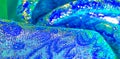 Texture background, pattern. blue brocade fabric. Organza brocade fabric - shepherd, with a crunchy palm. It has a large yarn-dyed