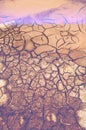 Texture, background, pattern. Cracked earth, clay. Abstract nature background with cracked earth. Dry cracked earth background, c Royalty Free Stock Photo