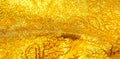 Texture background, pattern. fabric; yellow gold brocade. Organza brocade fabric - shepherd, with a crunchy palm. It has a large