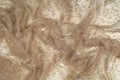 Texture, background, pattern. Lace fabric beige gold with sparkles. Amazing shimmery floral lace in antique toffee color with