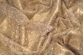 Texture, background, pattern. Lace fabric beige gold with sparkles. Amazing shimmery floral lace in antique toffee color with