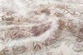 Texture, background, pattern. Pink lace on white background. Pin Royalty Free Stock Photo