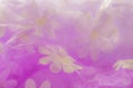 Texture, background, pattern. Pink Tulle fabric, net for crafti Royalty Free Stock Photo