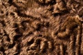 Texture, background, pattern. Sheep fur, sheepskin. a sheep's sk Royalty Free Stock Photo