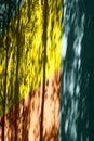 Texture, background, pattern. The wall of the building is painted with bright colors, a game of shadows from trees Royalty Free Stock Photo