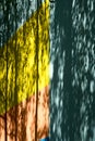 Texture, background, pattern. The wall of the building is painted with bright colors, a game of shadows from trees Royalty Free Stock Photo