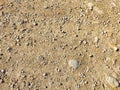 Texture and background of podzol soil with pebbles. Abstract Earth and stone as a place for text and copy space. Top Royalty Free Stock Photo