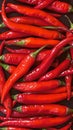 Texture background of red hot chili peppers, close up view Royalty Free Stock Photo