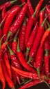 Texture background of red hot chili peppers, close up view Royalty Free Stock Photo