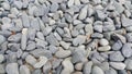 Texture background: Rock Pebbles, small, rounded, smooth pibbles Royalty Free Stock Photo