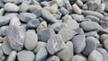 Texture background: Rock Pebbles, small, rounded, smooth pibbles Royalty Free Stock Photo