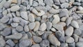 Texture background: Rock Pebbles, small, rounded, smooth pibbles Royalty Free Stock Photo