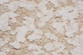 Texture or background of salt from maras top view cusco peru