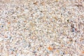 Texture background of seashells colored on seashore tropics Royalty Free Stock Photo