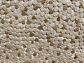 Texture, background. small round stones of gray color, with small green inclusions. voluminous texture with natural stone