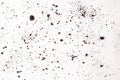 Texture white background with small particles of scattered soil