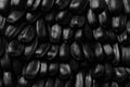 Texture and background sunflower seeds close closeup Royalty Free Stock Photo