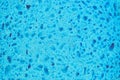 Texture background surface of blue bath body sponge Royalty Free Stock Photo
