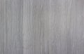 Texture background tree array brushed gray line saw