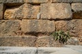 Texture background of weathered old natural stone brick wall in yellow with joint, rough surface and green plant Royalty Free Stock Photo