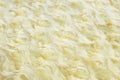 Texture and background of yellow artificial fur with round curls.