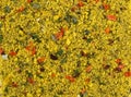 Texture background. Yellow spice mix. Spices consist dried dehydrated vegetables Royalty Free Stock Photo