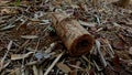 Texture of bamboo strips on soil that is exposed to corrosion Royalty Free Stock Photo