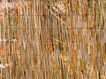 Texture of bamboo. Thin sticks. Dry bamboo. A fence made of bamb Royalty Free Stock Photo