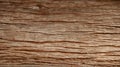 Texture of bark wood use as natural background Royalty Free Stock Photo