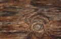 Texture of bark wood use as natural background Royalty Free Stock Photo