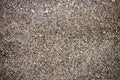 The texture of the beach with coarse sand. The texture of the pebble beach Royalty Free Stock Photo