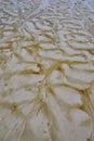 Texture of Beach during Low Tide with dramatic vein pattern Royalty Free Stock Photo