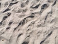 Texture Of Beach Sand. Baltic Sea Coast