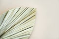 Texture of a beautiful dry palm leaf close up. Beautiful plant background. Royalty Free Stock Photo