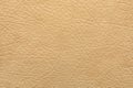 Texture of beige leather as background, closeup Royalty Free Stock Photo