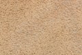 Texture of beige wall covered with limestone plaster, natural sand and stone cover material, background for wallpapers or web- Royalty Free Stock Photo