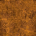 Texture of bengal tiger fur, orange stripes pattern. Mammals Fur. Animal skin print.