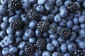 Texture berries close up. Top view. Black and blue berries. Ripe blueberries and blackberries.