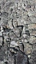 Texture of big real rock stone wall. Royalty Free Stock Photo