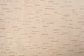The texture of birch bark. Background of birch bark. Red birch bark. The texture white birch bark. Royalty Free Stock Photo