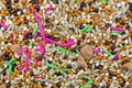 Texture of bird food mix of millet seeds, grains, crushed biscuit . Royalty Free Stock Photo
