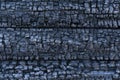 Texture of black burned wooden log wall