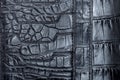 Texture of black crocodile skin surface. Royalty Free Stock Photo