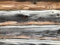 Texture of a black gray old wood wall made of logs, a fence of horizontal worn-out burnt, rotten boards with cracks and knots