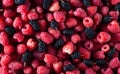 texture of black and red berries fresh fruit blueberries and raspberries Royalty Free Stock Photo