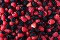 texture of black and red berries fresh fruit blueberries and raspberries Royalty Free Stock Photo
