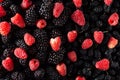 texture of black and red berries fresh fruit blueberries and raspberries Royalty Free Stock Photo