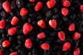 texture of black and red berries fresh fruit blueberries and raspberries Royalty Free Stock Photo
