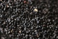Texture of black volcanic sand for background. Black Sand beach macro photography. Close-up view of volcanic sand Royalty Free Stock Photo